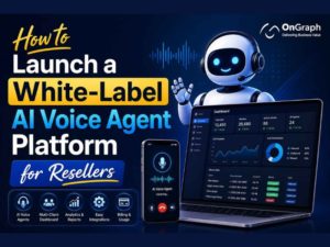 Launch a White-Label AI Voice Agent Platform for Resellers